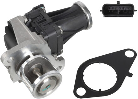 Renault EGR-klep 173555