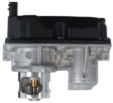 Renault EGR-klep 700478