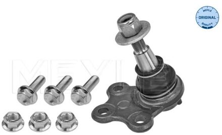 Renault Fuseekogel 16160100011