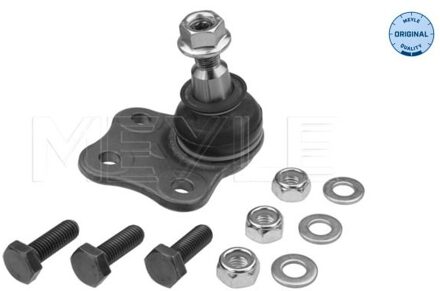 Renault Fuseekogel 16160100014