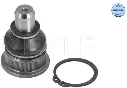 Renault Fuseekogel 16160100037