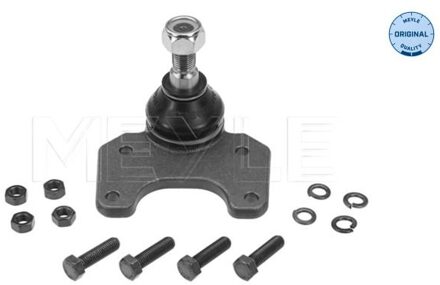 Renault Fuseekogel 16160104281