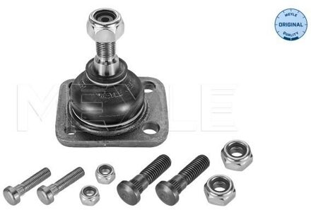 Renault Fuseekogel 16160104295