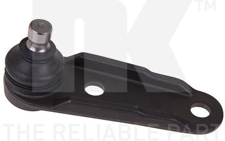 Renault Fuseekogel 5043922