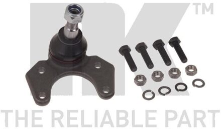 Renault Fuseekogel 5043928