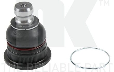 Renault Fuseekogel 5043941