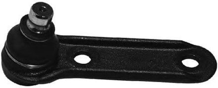 Renault Fuseekogel Renault L/R