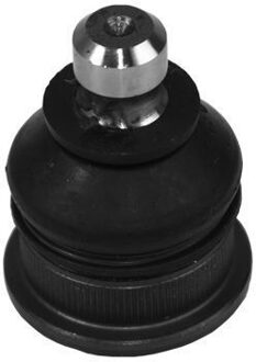 Renault Fuseekogel Renault