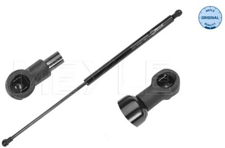 Renault Gasveer, kofferruimte 16409100006