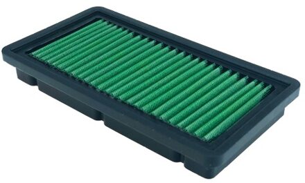 Renault Green Vervangingsfilter P965019