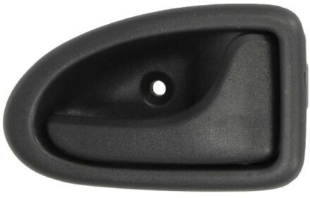 Renault Handgreep, interieur 6010096032408TSP