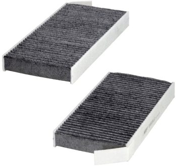 Renault Interieurfilter E4920LC2