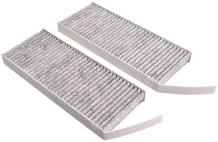 Renault interieurluchtfilter (set) 109184