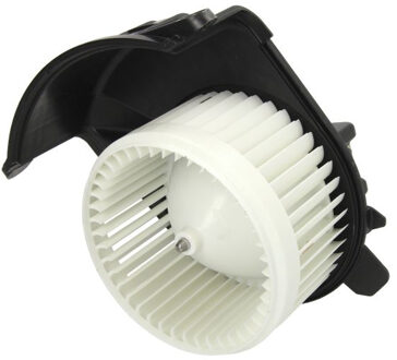 Renault Kachel ventilator