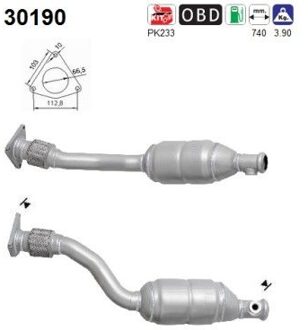 Renault Katalysator 30190
