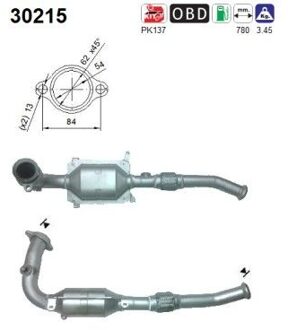 Renault Katalysator 30215