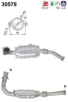 Renault Katalysator 30578