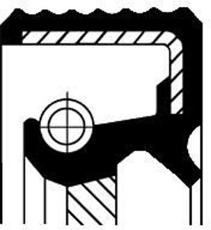 Renault Keerring, versnelling 49122015