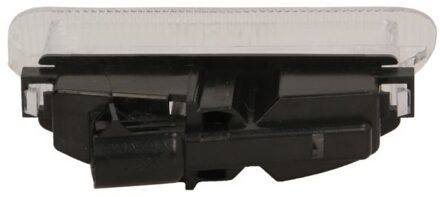 Renault Kentekenlamp 540204231905