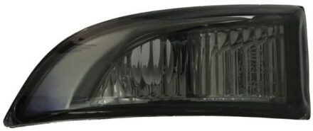 Renault Knipperlicht 540304223861S