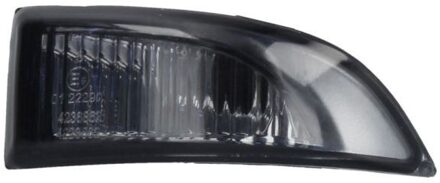 Renault Knipperlicht 540304223862S