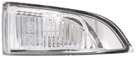 Renault Knipperlicht 540309052105P