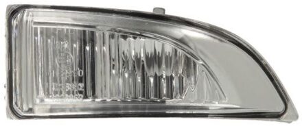 Renault Knipperlicht 540309052106P