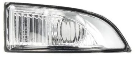 Renault Knipperlicht 540309052108P