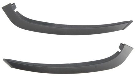 Renault Koplamppaneel 6502076043995P