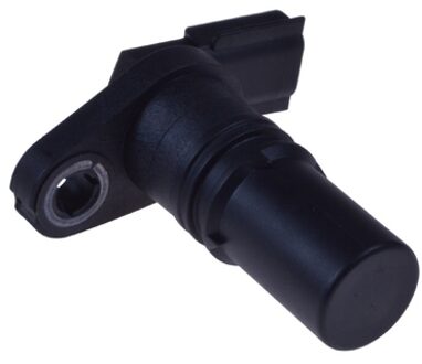 Renault Krukas sensor