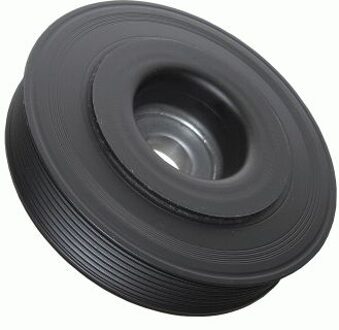 Renault Krukaspoelie Trillingsdemper