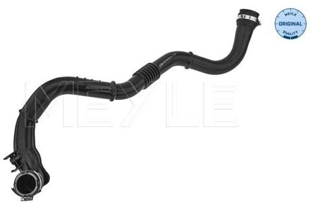 Renault Laadluchtslang 16140360006