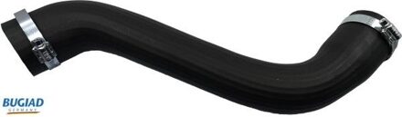 Renault Laadluchtslang 82062