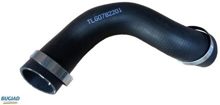 Renault Laadluchtslang 82201