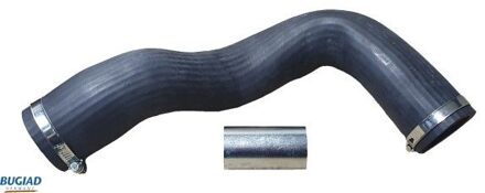 Renault Laadluchtslang 82302