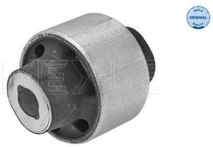 Renault Lagerbus, wieldraagarm 16146100035