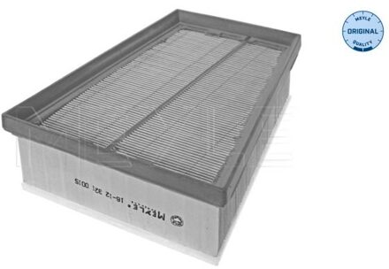 Renault Luchtfilter 16123210015