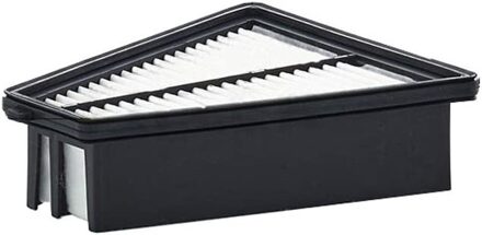 Renault Luchtfilter C21025