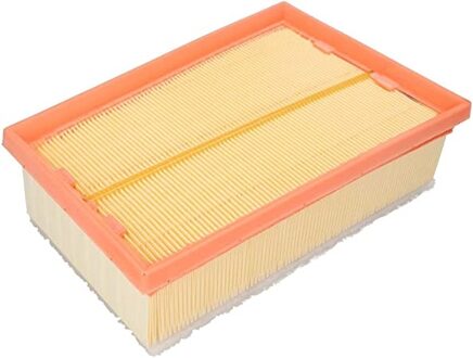 Renault Luchtfilter C24104