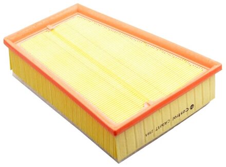 Renault Luchtfilter CA0017