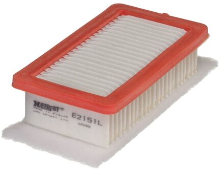 Renault Luchtfilter E2151L