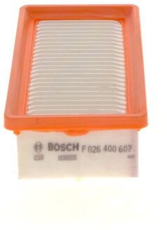 Renault Luchtfilterpatroon S0607