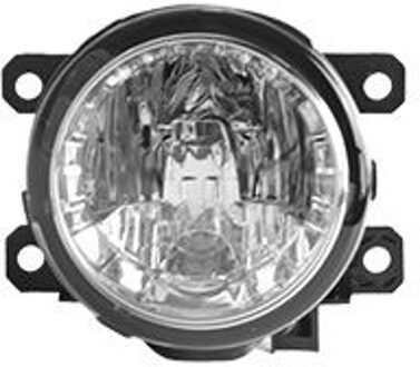 Renault MISTLICHT L. of R. H8