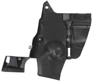 Renault Motor-/Veiligheidsbumper 6601026012871P