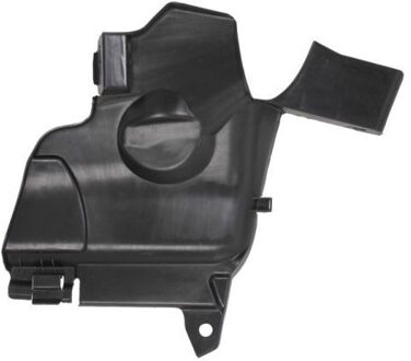 Renault Motor-/Veiligheidsbumper 6601026012872P