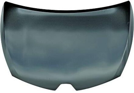 Renault Motorkap 4416000