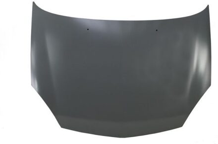 Renault Motorkap 6803006032281P