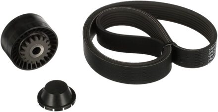 Renault Multiriem set