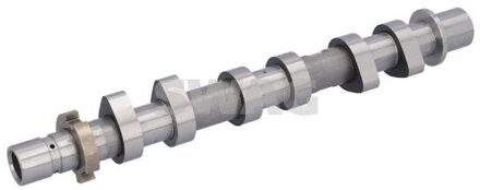 Renault Nokkenas 33113664