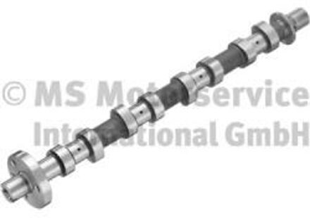 Renault Nokkenas 50007709